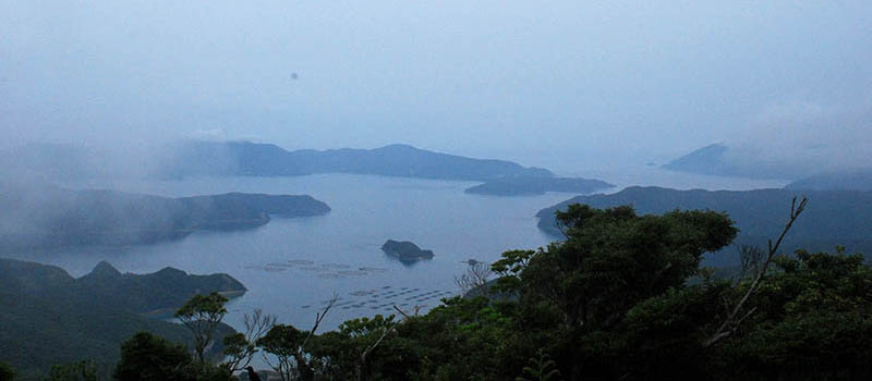 奄美大島アクティブな旅 高知山展望台