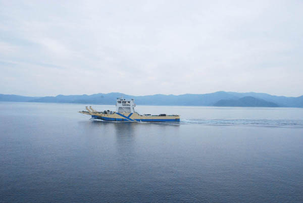 加計呂麻島 フェリー&路線バス 旅 大島海峡