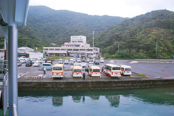加計呂麻島 フェリー&路線バス お手軽な旅