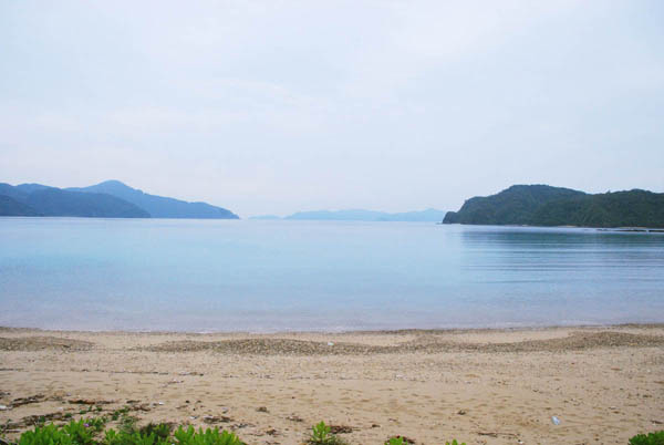 加計呂麻島 フェリー&路線バス お手軽な旅