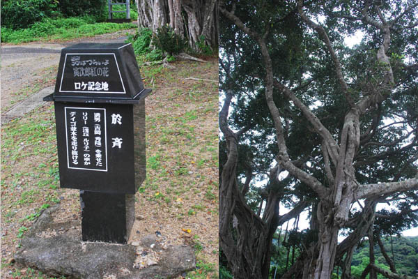 加計呂麻島 フェリー&路線バス旅 於斉