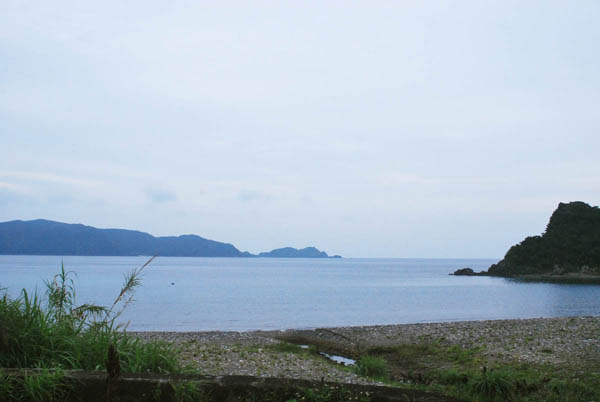 加計呂麻島 フェリー&路線バス お手軽な旅