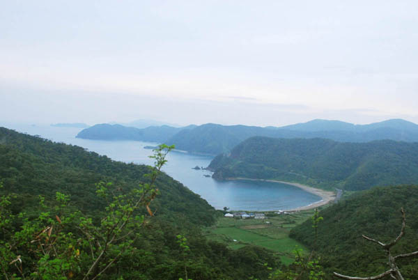 加計呂麻島 フェリー&路線バス お手軽な旅